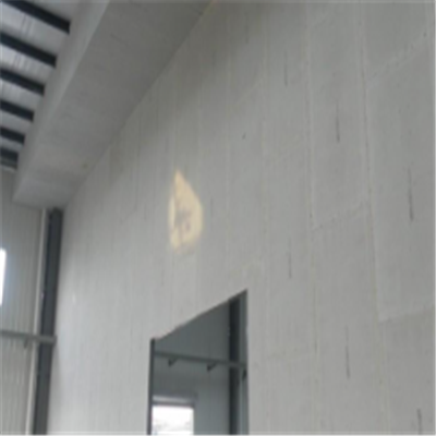 闽清宁波ALC板|EPS加气板隔墙与混凝土整浇联接的实验研讨